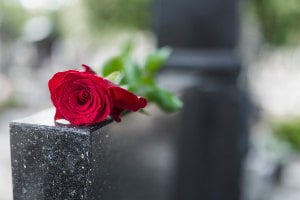 rose on headstone 